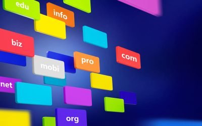 Exploring Domain Name Types