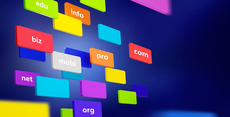 Exploring Domain Name Types