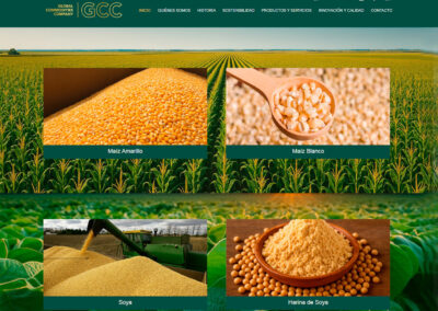 Global Commodities Company (GCC)​