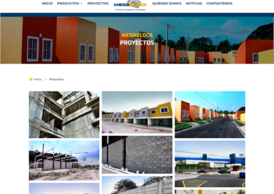 MEGABLOCK | Proyectos