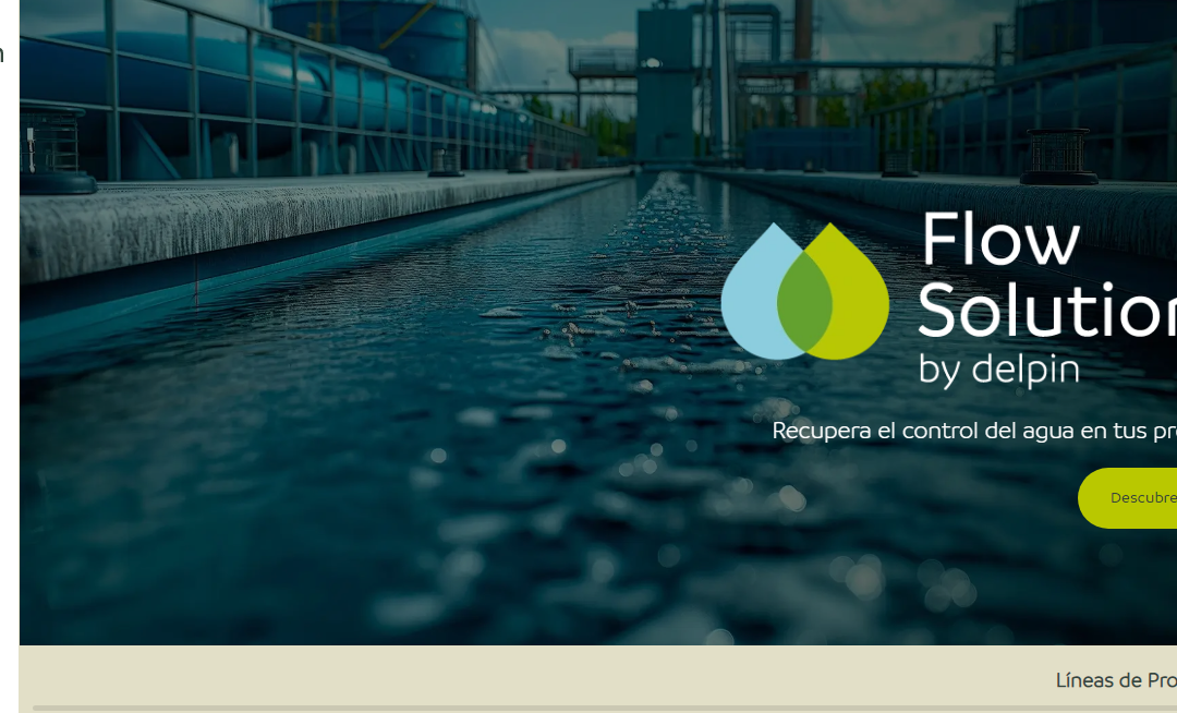 Website develpment Delpin